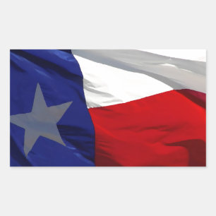 Vlag van Texas Pop Art Rechthoekige Sticker