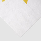 Vlag van Topeka (Kansas) Tissuepapier (Detail)