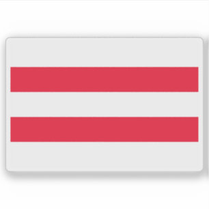 Vlag van Ústí nad Labem, Tsjechië Sticker