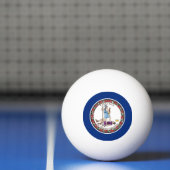 Vlag van Virginia Pingpongballen (Net)