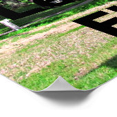 Vlag van vrijheid poster (Hoek)