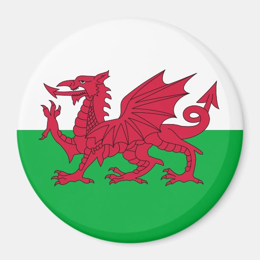Vlag van Wales Magneet (Voorkant)