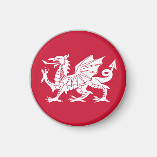 Vlag van Wales Magneet