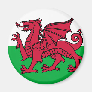 Vlag van Wales Magneet