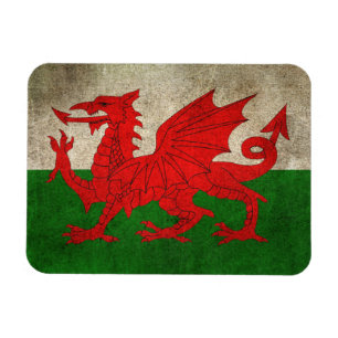 vlag van Wales Magneet