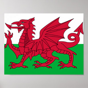 Vlag van Wales Poster