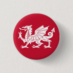 Vlag van Wales Ronde Button 3,2 Cm