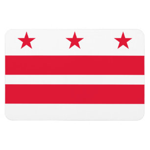 vlag van Washington DC Magneet