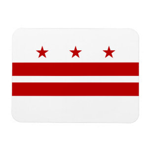 Vlag van Washington DC Magneet