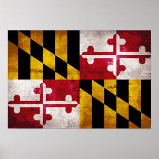 Vlag van Weathered Maryland Poster