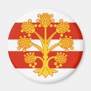 Vlag van Westmorland-magneet Magneet