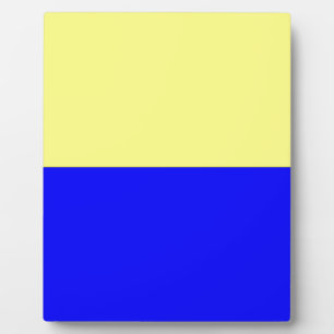 Vlag van Zandvoort Fotoplaat