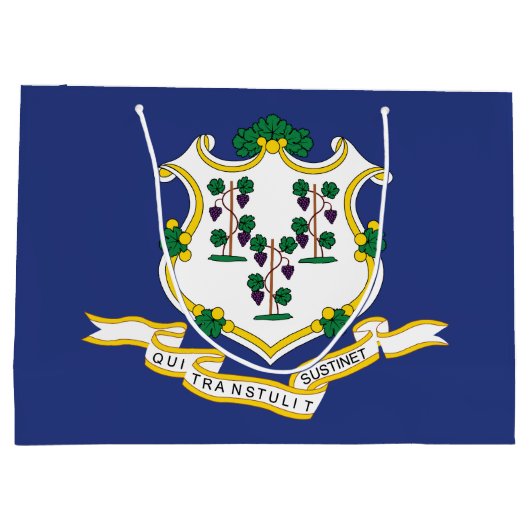 Vlag verbindingsstaat groot cadeauzakje (Achterkant)