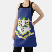 Vlag verbindingsstaat schort (Insitu)