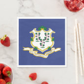 Vlag verbindingsstaat servet (Insitu)