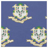 Vlag verbindingsstaat stof (Close Up)