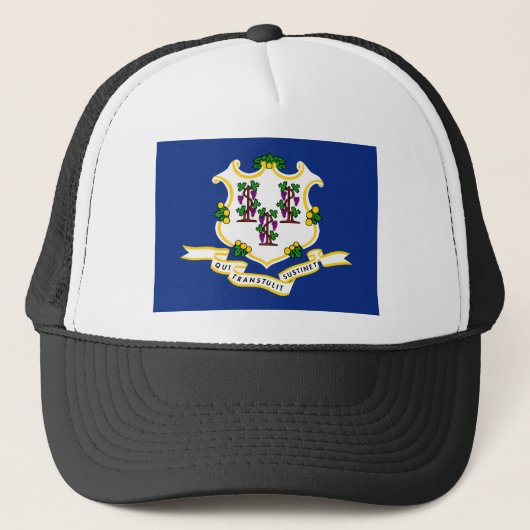 Vlag verbindingsstaat trucker pet (Voorkant)