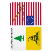 Vlaggen van de Amerikaanse revolutie Magneet (Verticaal)