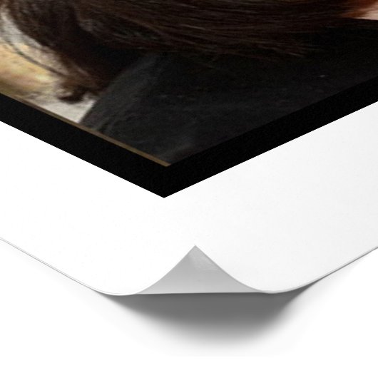 vlaggen van Richard III en Leicester Cathedral Poster (Hoek)