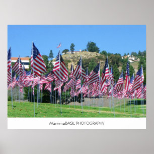 Vlaggengebied Poster! Poster