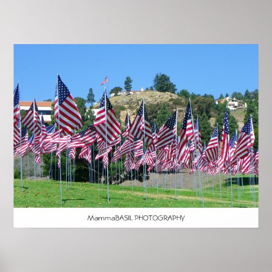 Vlaggengebied Poster! Poster (Voorkant)