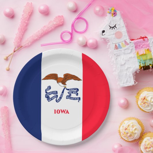 Vlaggenontwerp Iowa State Papieren Bordje (Feest)