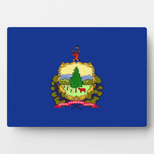 Vlaggenontwerp van de staat Vermont Fotoplaat