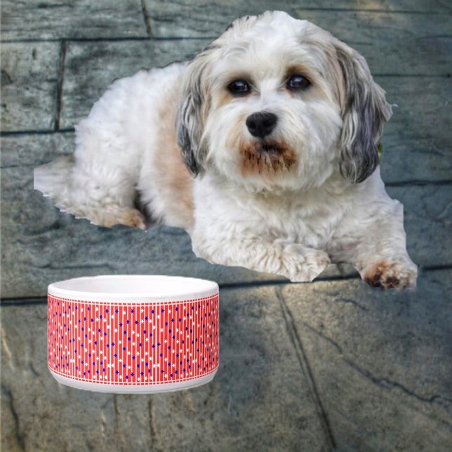 Vlagsterren Voerbakje (Your pet is definitely an American, with the Flag Stripes Pet Bowl!)