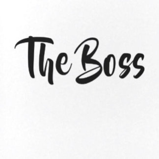 VLAK DE BOSS ACCENT KUSSEN