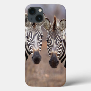 Vlakke zebra's, Kruger Nationaal Park iPhone 13 Hoesje