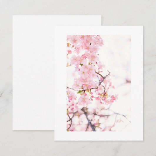 VLAKTE UITNODIGINGSKAART : KERSENBLOESEMTAK KAART (Voorkant / Achterkant)