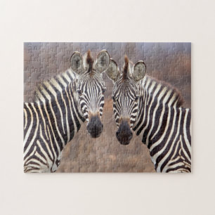 Vlakte zebra's, Kruger Nationaal Park Legpuzzel