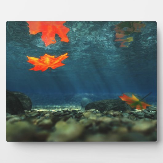 vlam in de vlakte van het water-Afbeelding Fotoplaat (Voorkant)