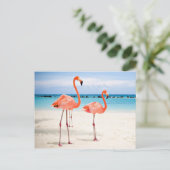 Vlamingos op het strand briefkaart (Staand voorkant)