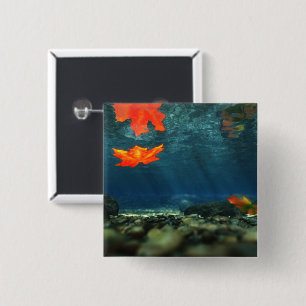 Vlammen in de Button water