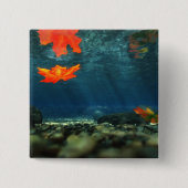 Vlammen in de Button water (Voorkant)