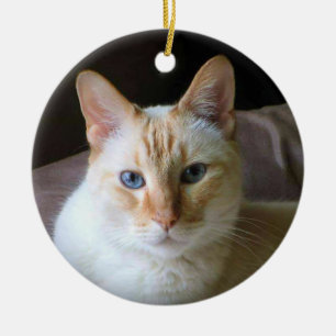 Vlampunt Siamese kat met blauwe ogen Keramisch Ornament