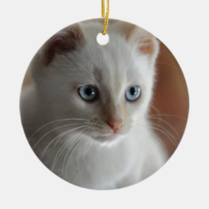 Vlampuntblauwe ogen keramisch ornament