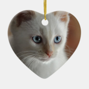 Vlampuntblauwe ogen keramisch ornament