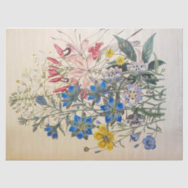  vlas en Cleomee botanisch tissuepapier