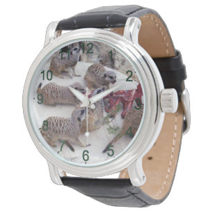 Vleesetende stokstaartjes met ribben voor de thee, horloge
