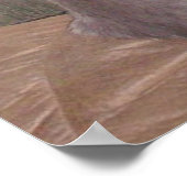 Vleeskatten 11 poster (Hoek)