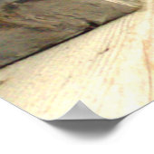 Vleeskatten 1 poster (Hoek)