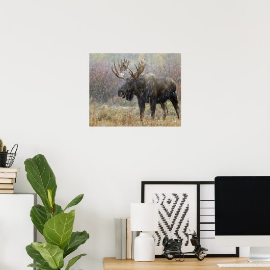 Vlek in sneeuwstorm met aspen in bomen poster (Thuiskantoor)