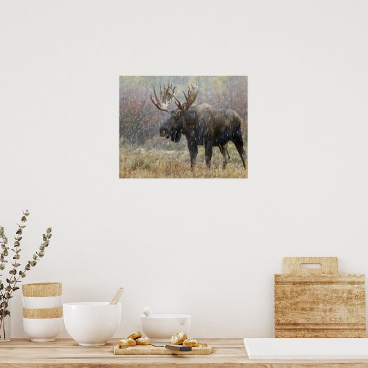 Vlek in sneeuwstorm met aspen in bomen poster (Keuken)