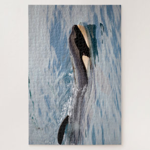 Vlekenzwembad Legpuzzel