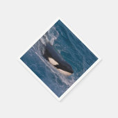 Vlekenzwembad Servet (Hoek)