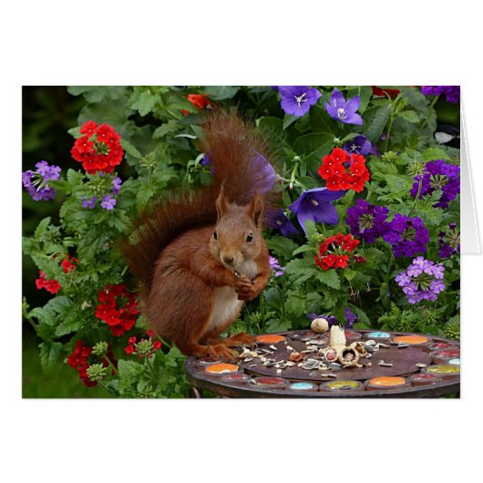 Vlekken in het Wenskaart van de tuin (Voorkant Horizontaal)