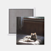 Vlekmagneet Magneet (Voorkant / Achterkant)