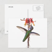 vleugelvleugels briefkaart (Voorkant / Achterkant)